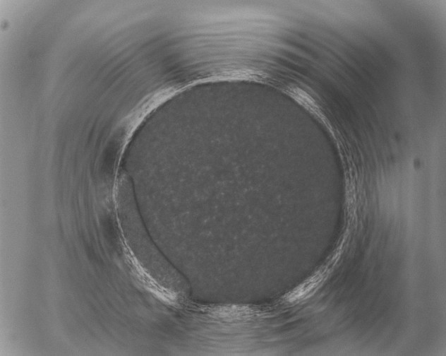 X0000057090797200509161628