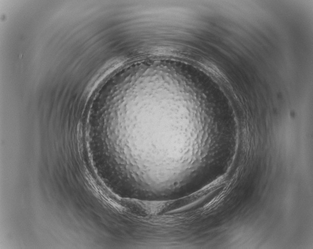 X0000057090798200509161628