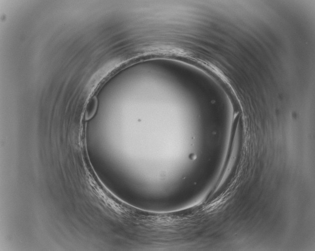 X0000057090799200509161628