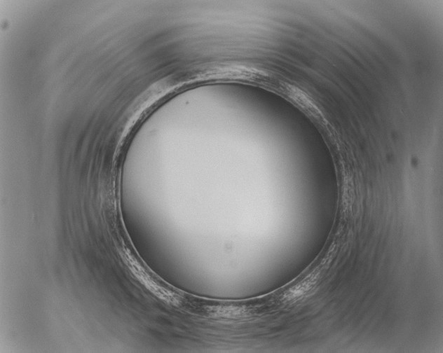 X0000057090800200509161628