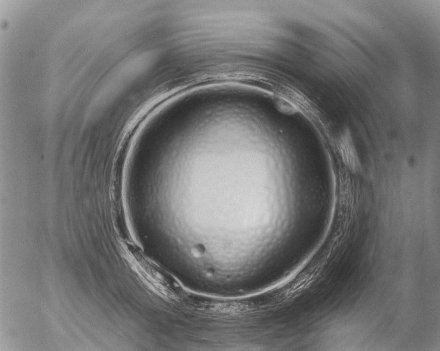 X0000057090803200509161628