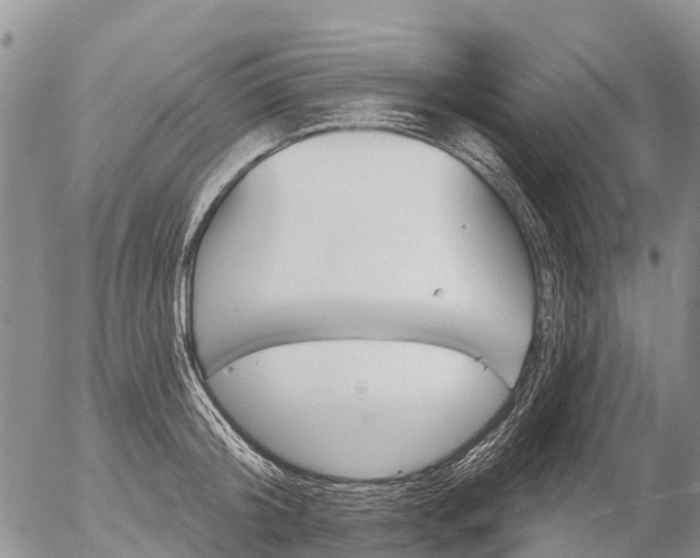 X0000057090804200509161628