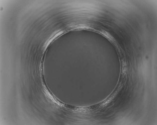 X0000057090806200509161628