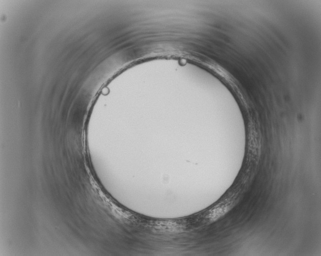 X0000057090807200509161628