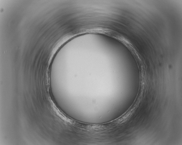 X0000057090808200509161628