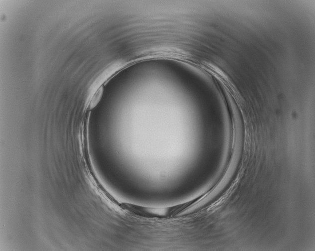 X0000057090812200509161628