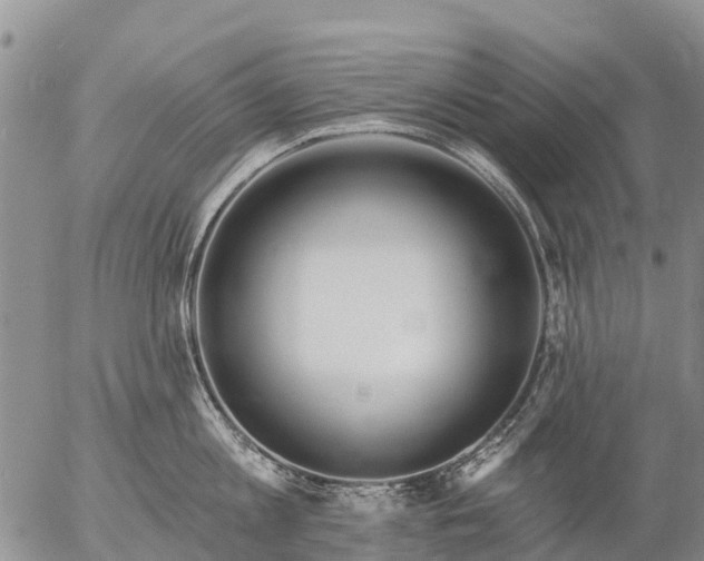 X0000057090813200509161628