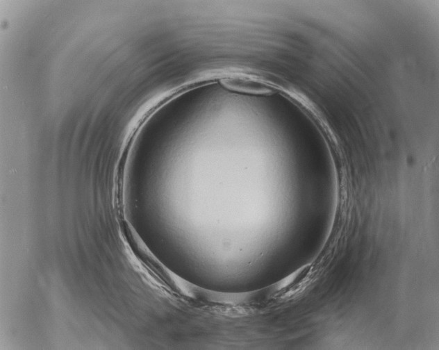 X0000057090815200509161628