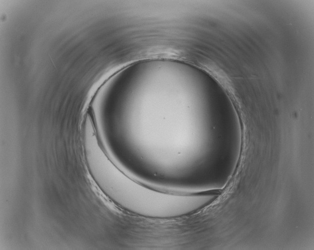 X0000057090816200509161628