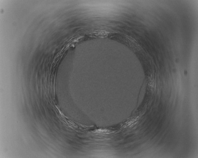 X0000057090818200509161627