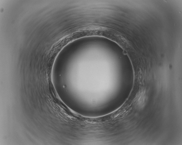 X0000057090821200509161627