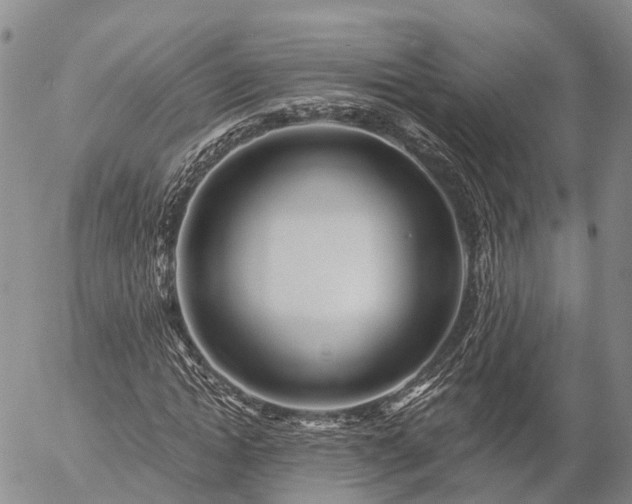 X0000057090822200509161627