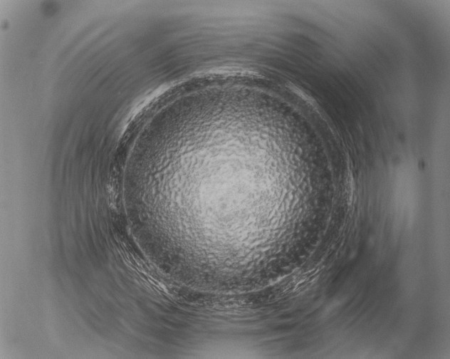 X0000057090823200509161627