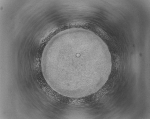 X0000057090824200509161627