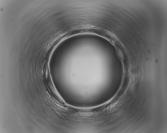 X0000057090825200509161627