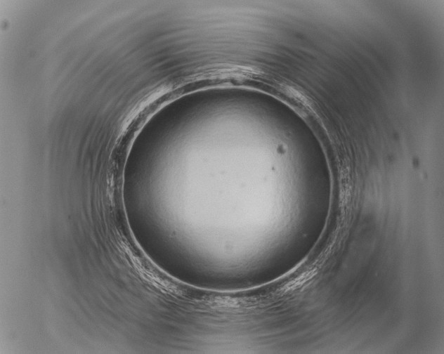 X0000057090827200509161627