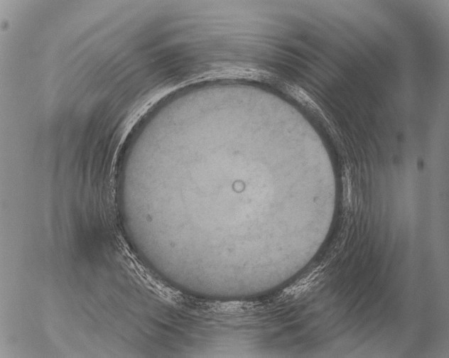 X0000057090828200509161627