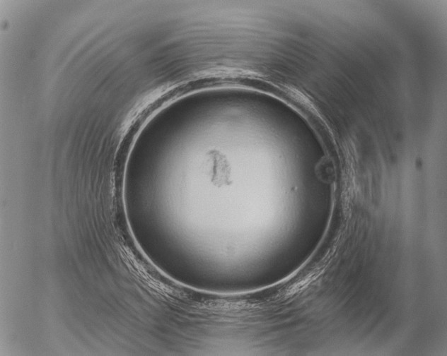 X0000057090831200509161627