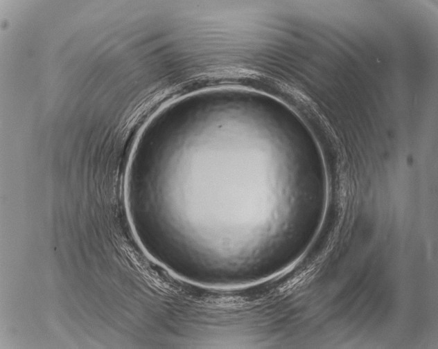 X0000057090833200509161627