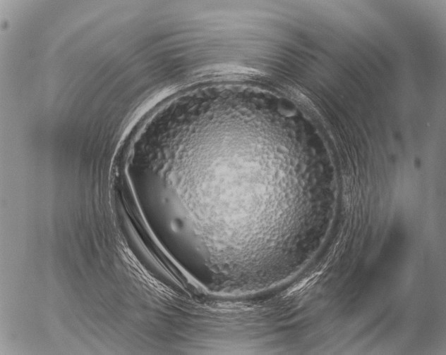 X0000057090835200509161627