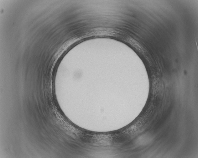 X0000057090836200509161627