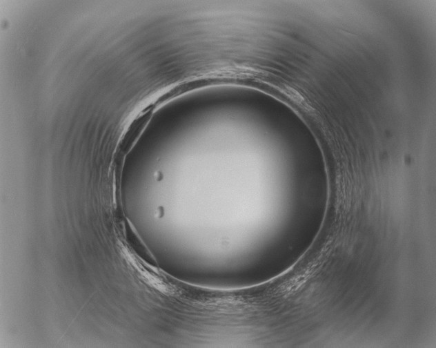 X0000057090838200509161627