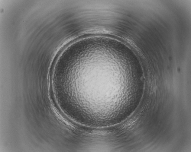 X0000057090840200509161627