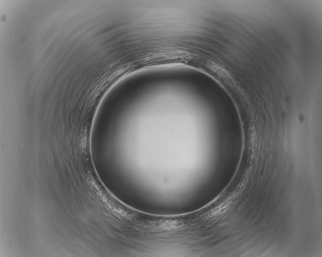 X0000057090841200509161627