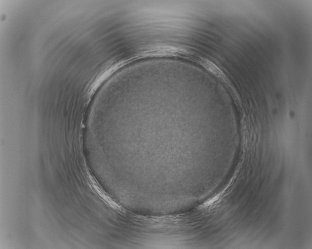 X0000057090842200509161627