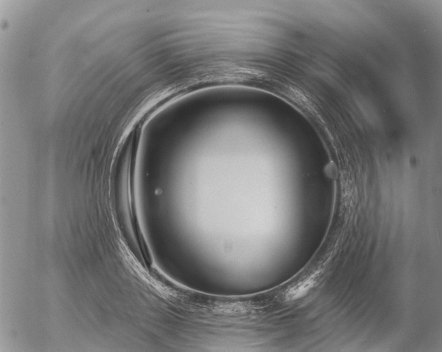 X0000057090843200509161627