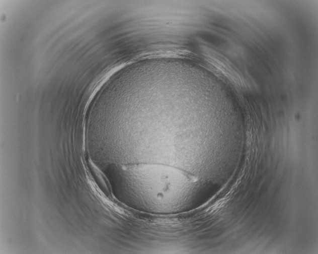 X0000057090844200509161627