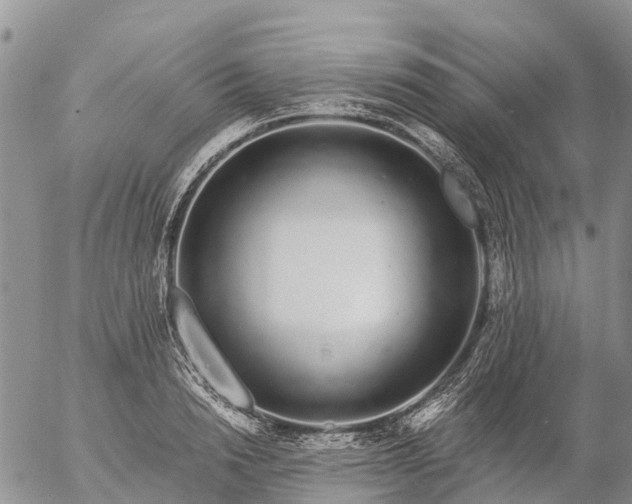 X0000057090846200509161627