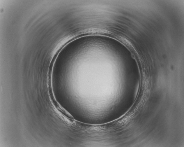 X0000057090847200509161627