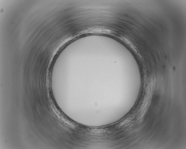 X0000057090848200509161627