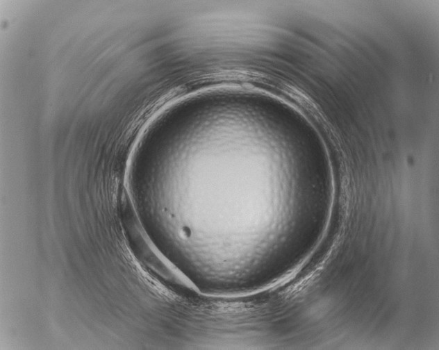 X0000057090849200509161627