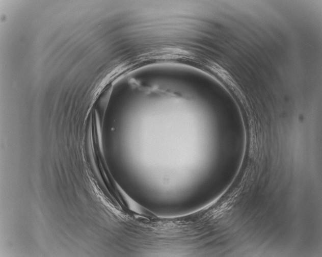 X0000057090850200509161627