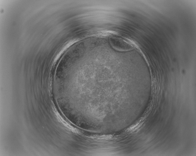 X0000057090851200509161627