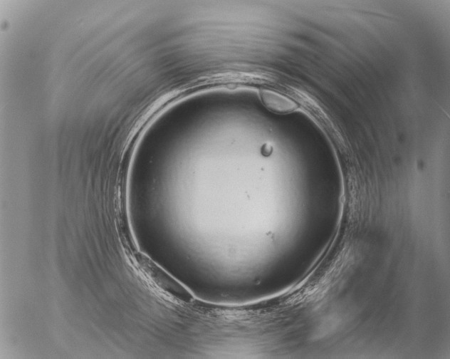 X0000057090852200509161627