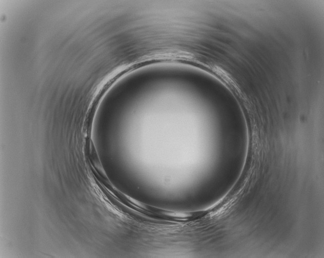 X0000057090854200509161627