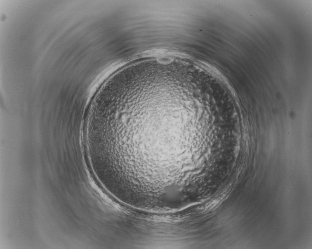 X0000057090855200509161627