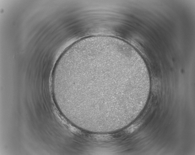 X0000057090856200509161627