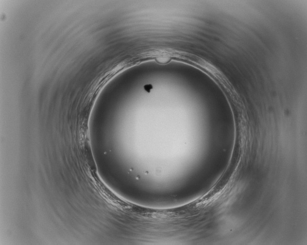 X0000057090857200509161627