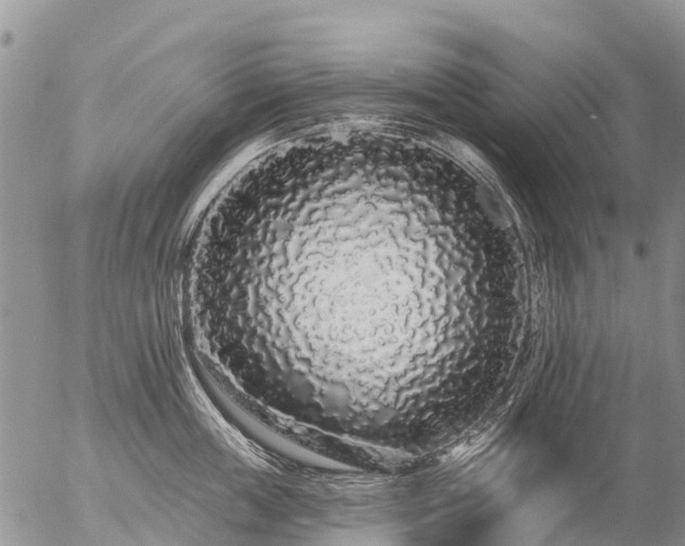 X0000057090859200509161628