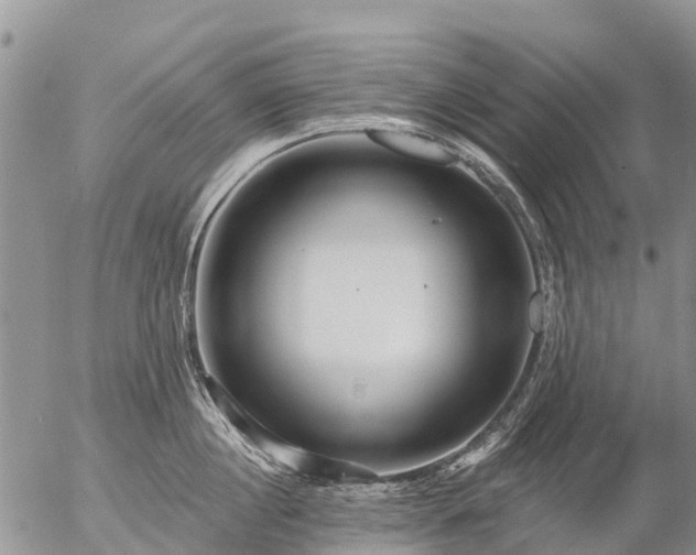 X0000057090860200509161628