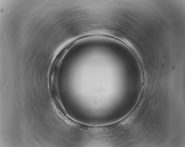 X0000057090862200509161628