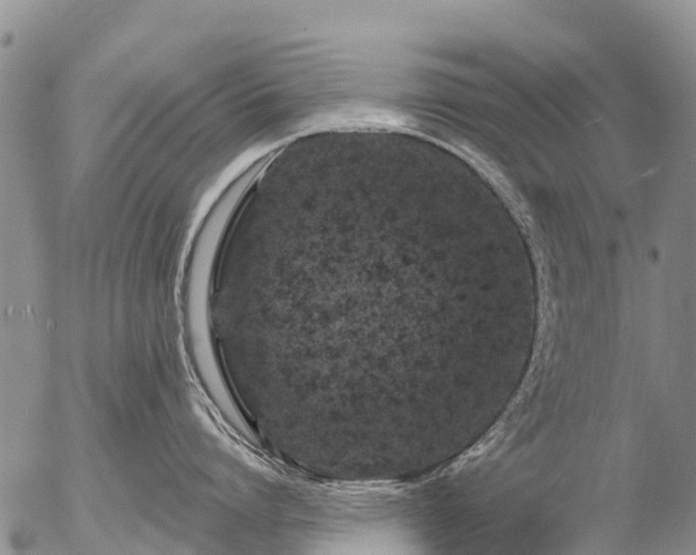 X0000057090864200509161628