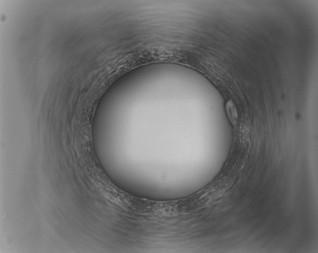 X0000057090865200509161627