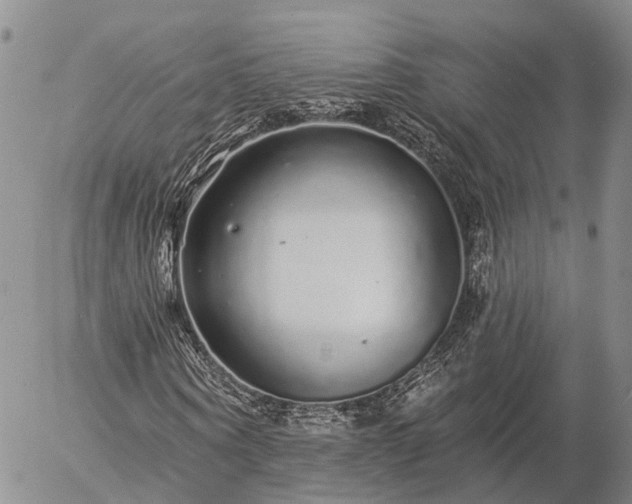 X0000057090866200509161627