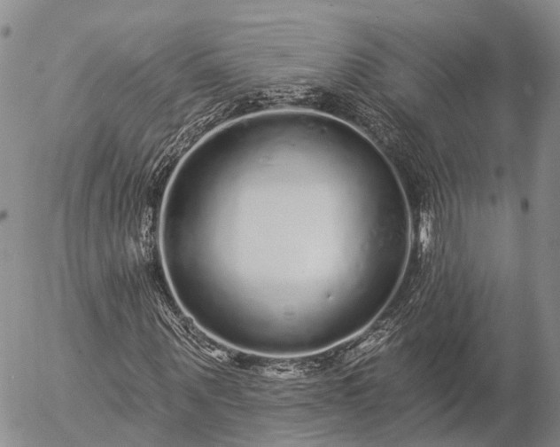 X0000057090867200509161627