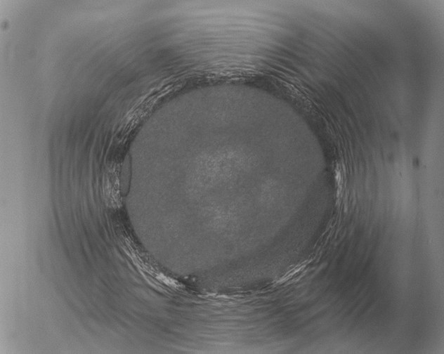 X0000057090868200509161627